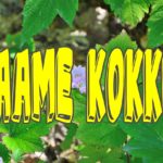 JÄTKUVAD TRADITSIOONILISED KOKKUSAAMISED