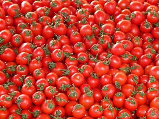 This image has an empty alt attribute; its file name is tomatoes-73913__480.jpg